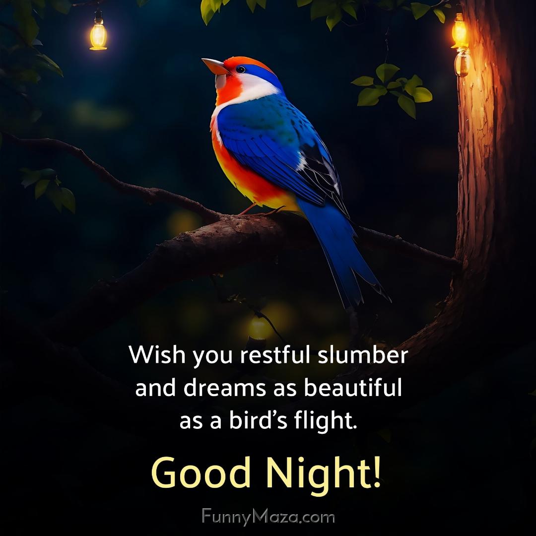 Wish you restful slumber and dreams as beautiful as a bird’s