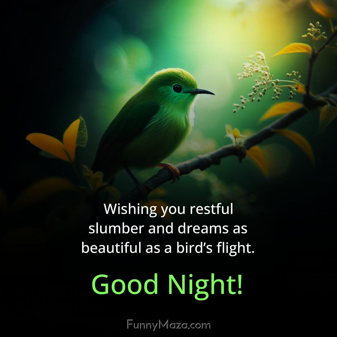 Wishing you restful slumber and dreams as beautiful as a bird’s