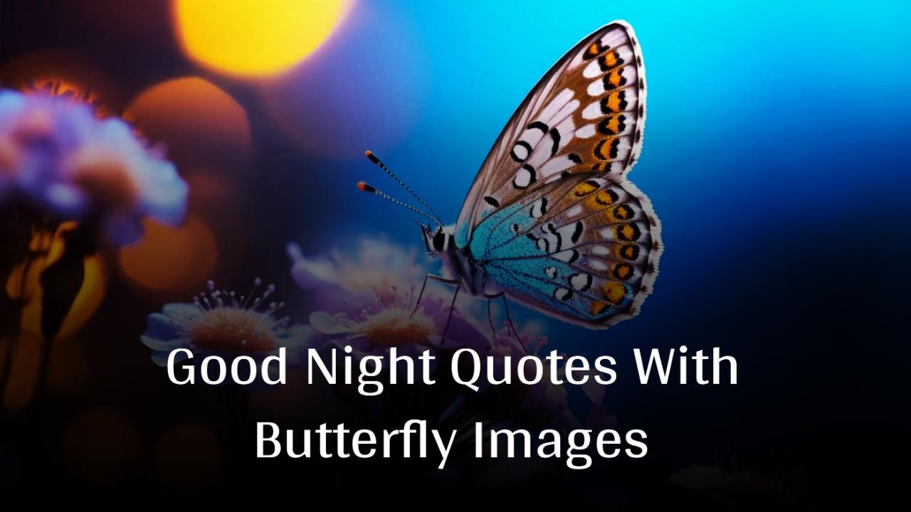 Good Night Quotes With Butterfly Images