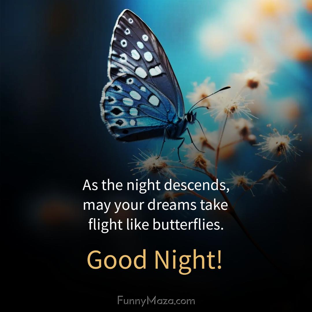 As the night descends may your dreams take flight like butterflies