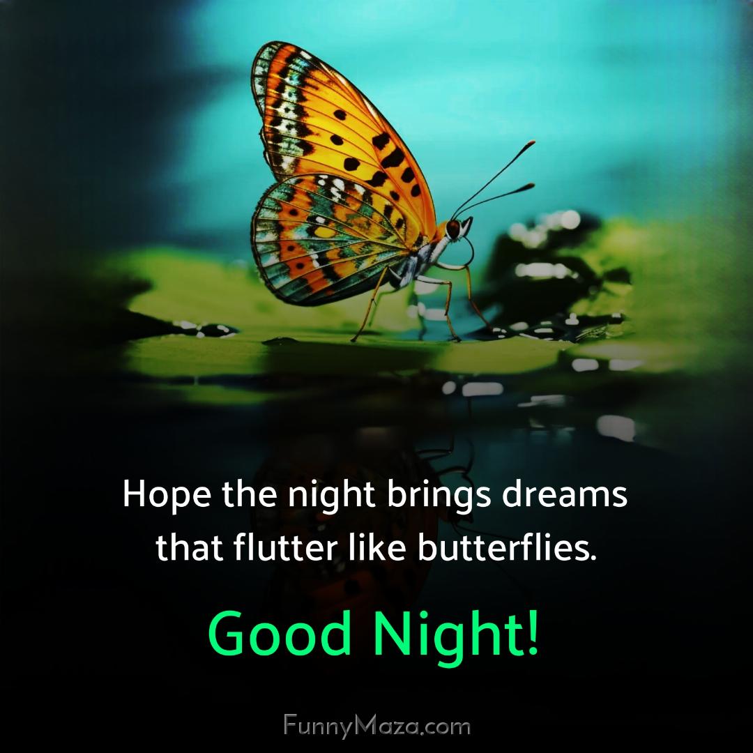 Hope the night brings dreams that flutter like butterflies