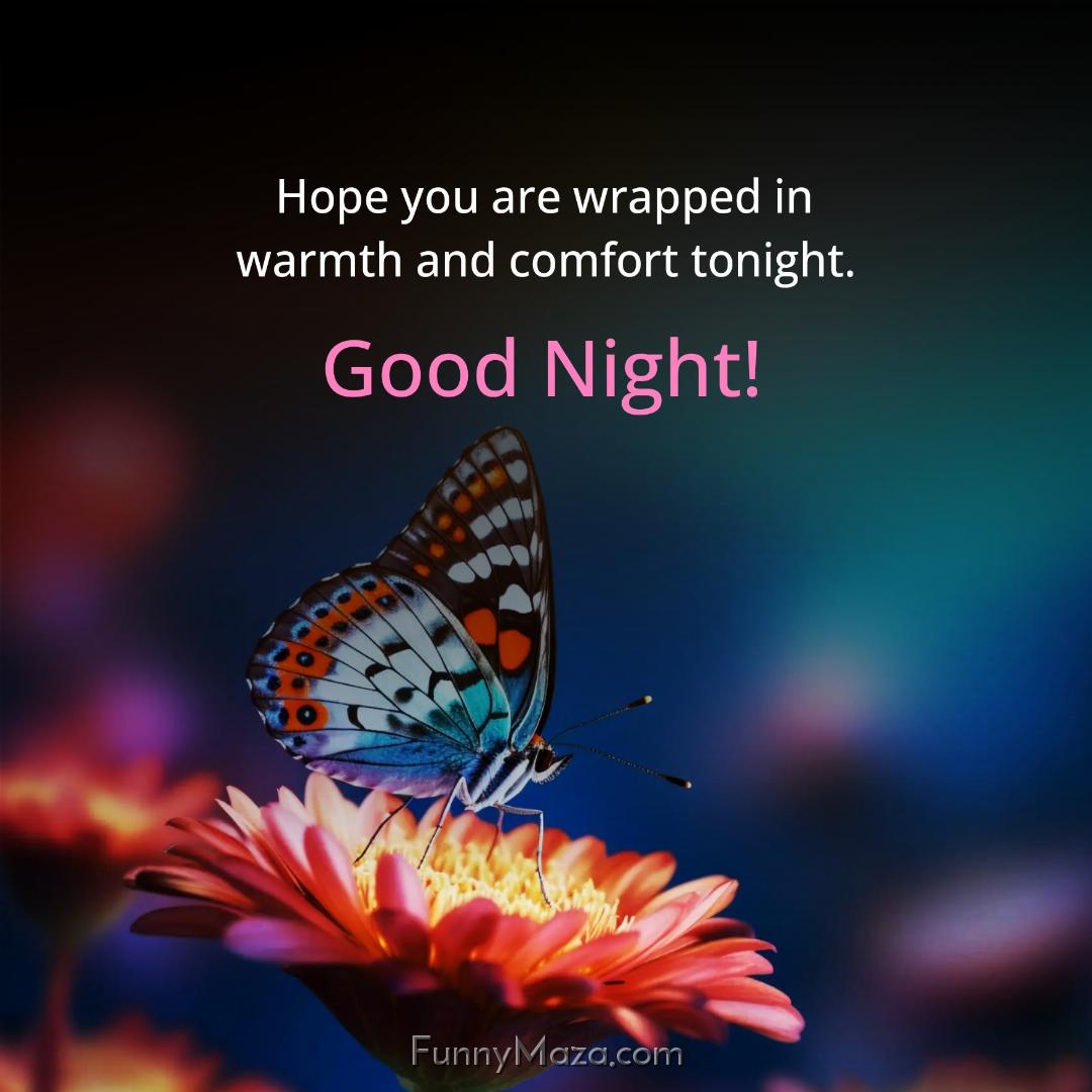 Hope you are wrapped in warmth and comfort tonight