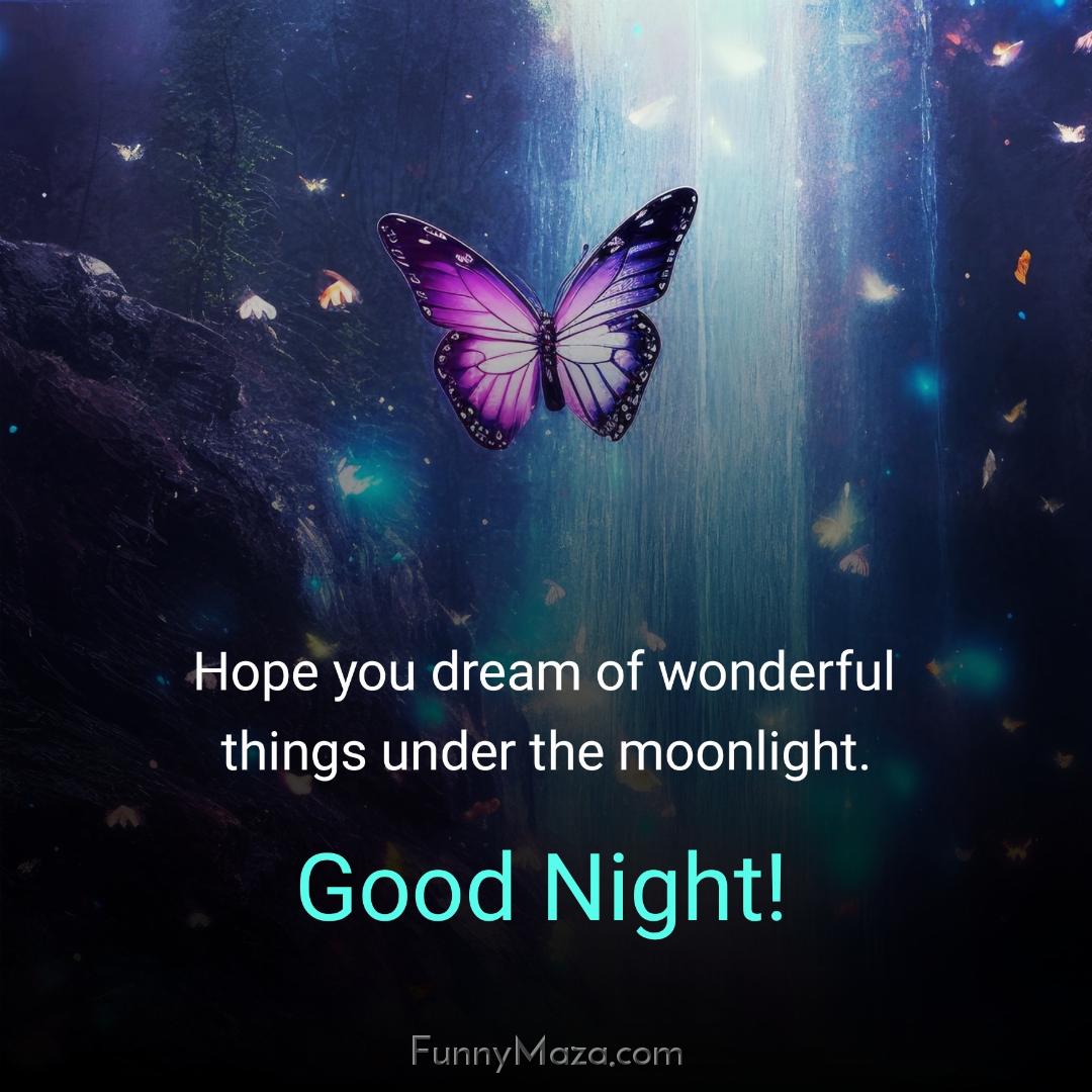 Hope you dream of wonderful things under the moonlight