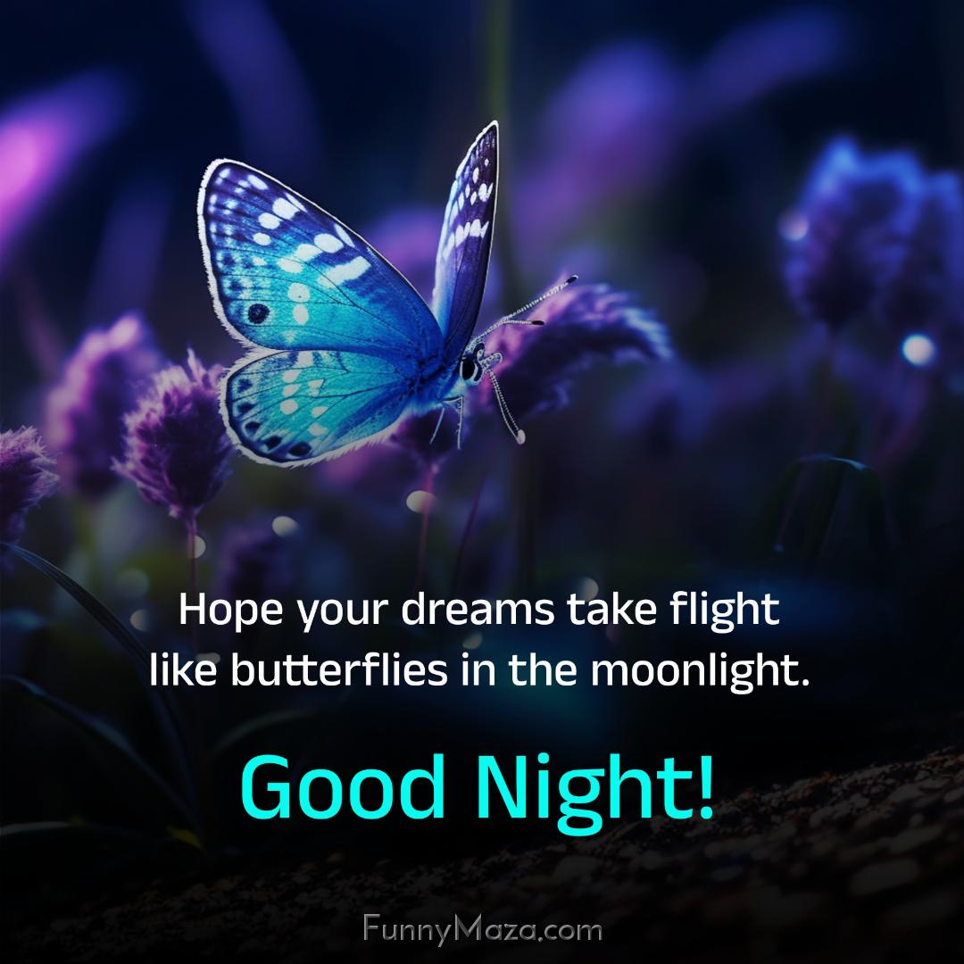 Hope your dreams take flight like butterflies in the moonlight