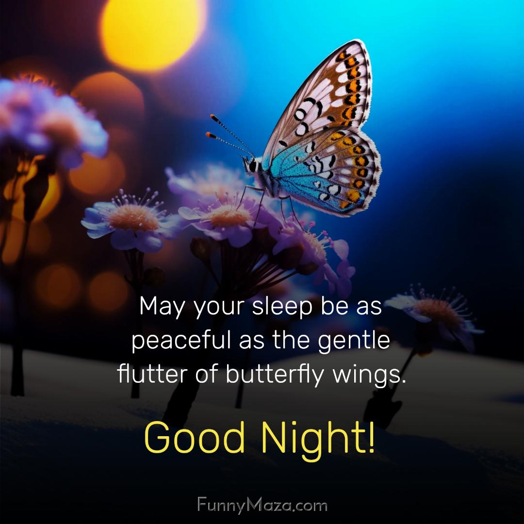 May your sleep be as peaceful as the gentle flutter of