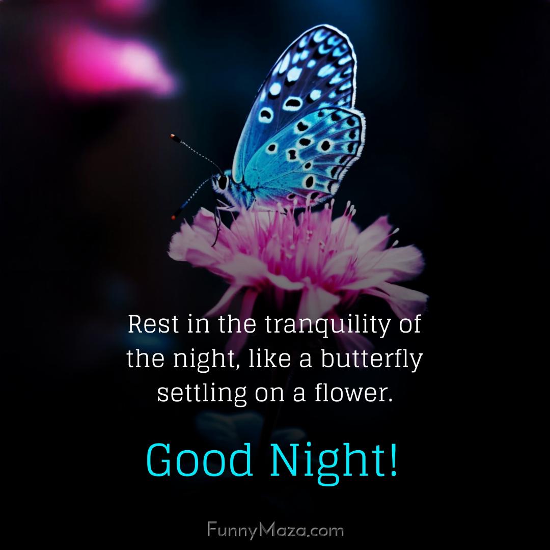 Rest in the tranquility of the night like a butterfly settling