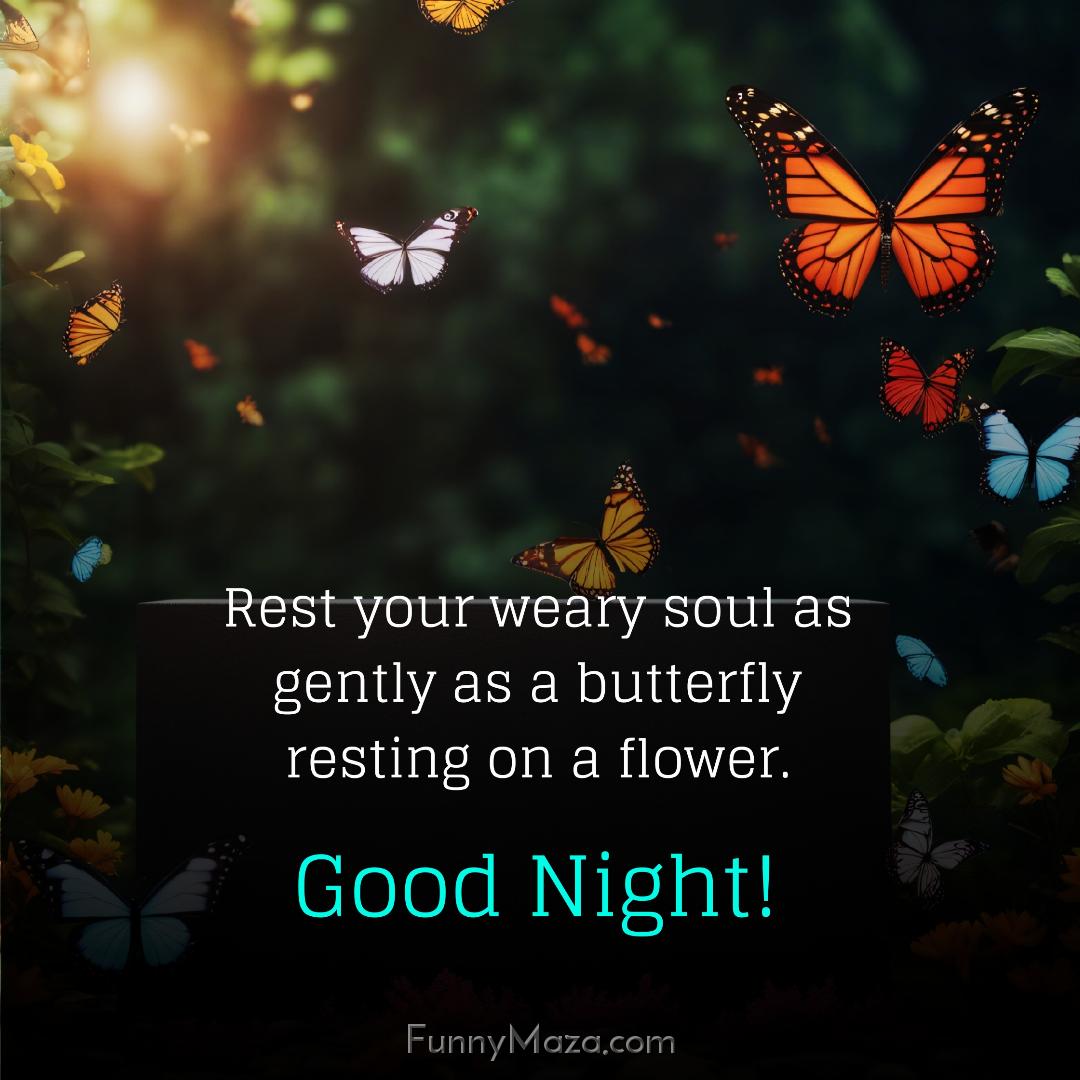 Rest your weary soul as gently as a butterfly resting on