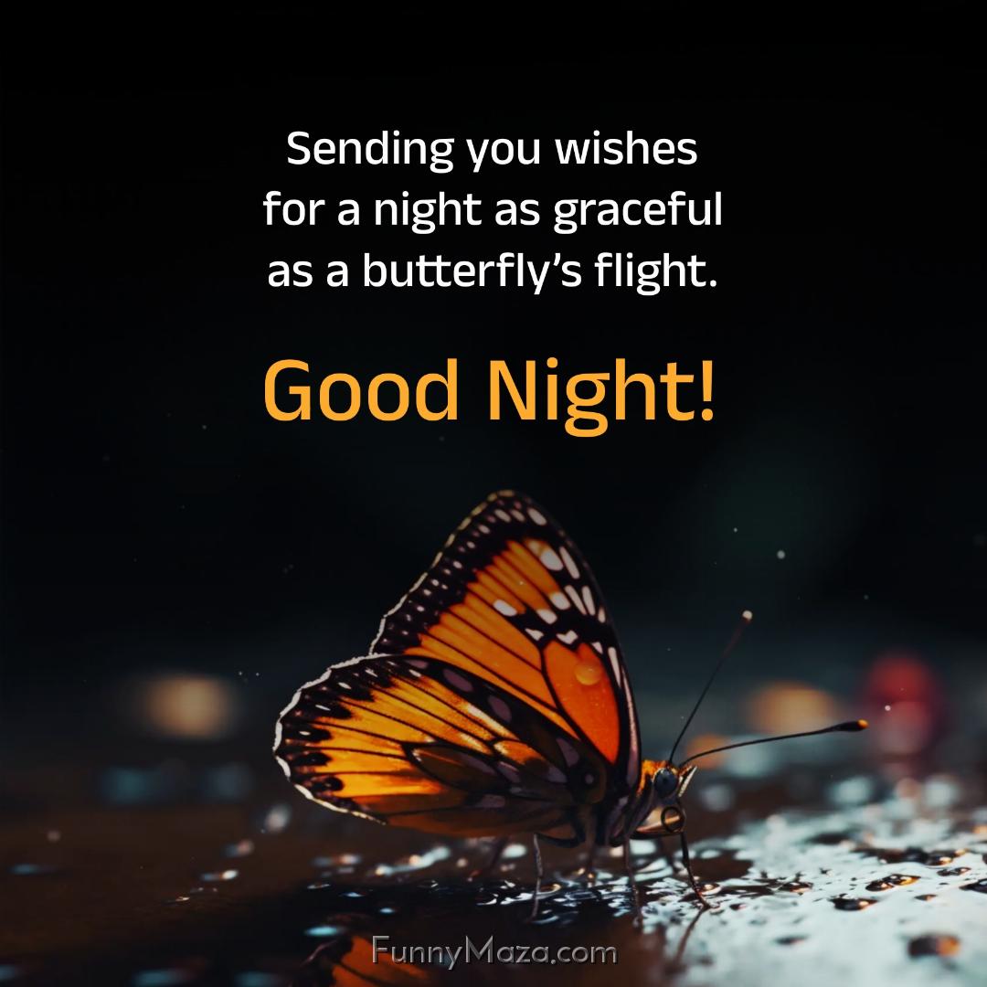 Sending you wishes for a night as graceful as a butterfly’s