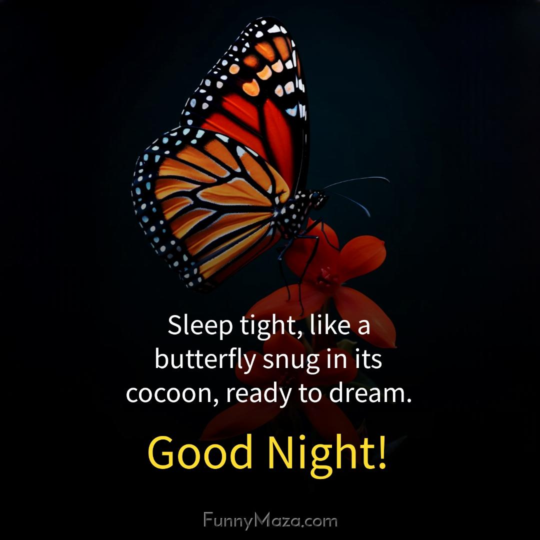 Sleep tight like a butterfly snug in its cocoon ready to