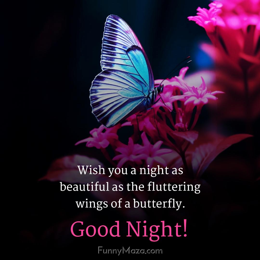 Wish you a night as beautiful as the fluttering wings of