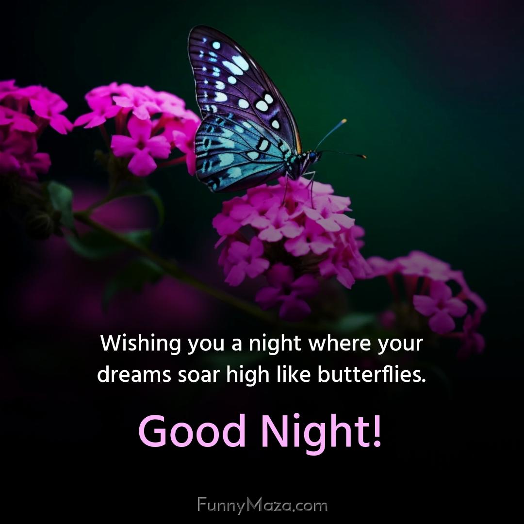 Wishing you a night where your dreams soar high like butterflies