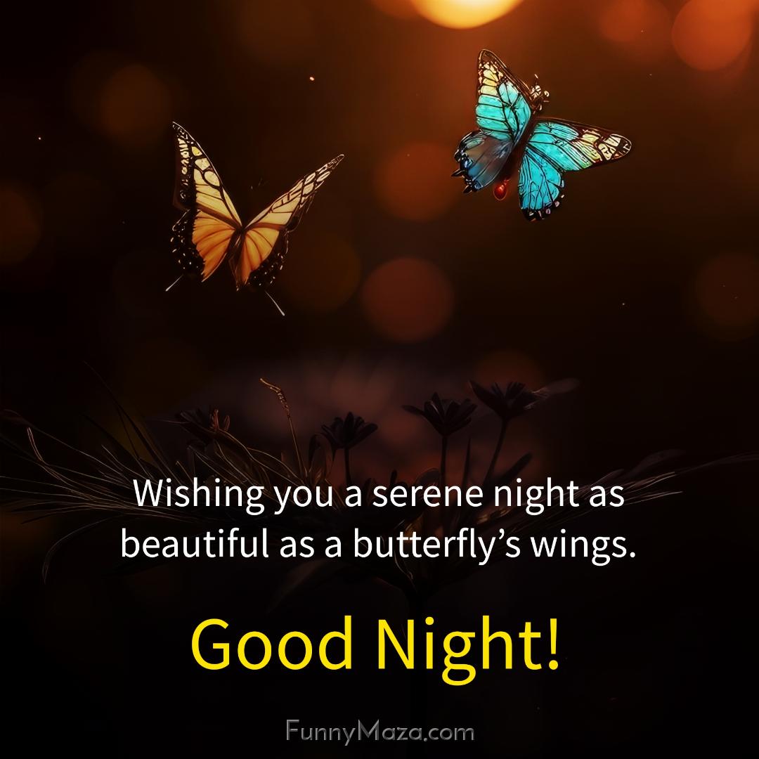 Wishing you a serene night as beautiful as a butterfly’s wings