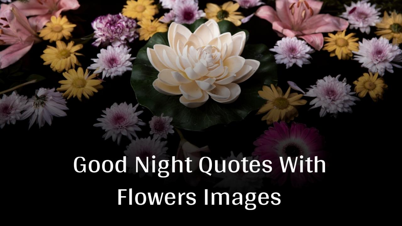 Good Night Quotes With Flowers Images