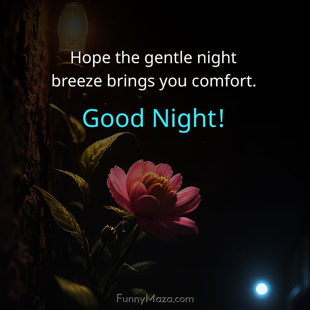 Hope the gentle night breeze brings you comfort