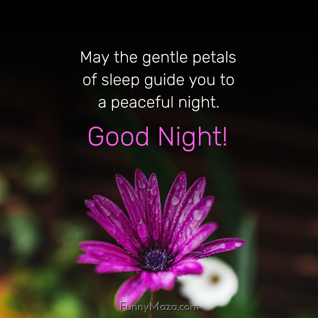 May the gentle petals of sleep guide you to a peaceful