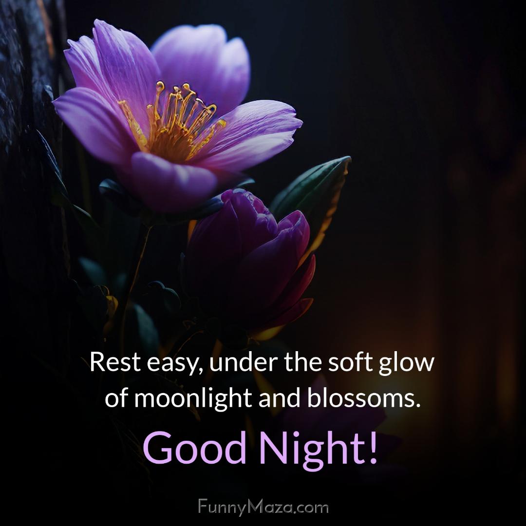 Rest easy under the soft glow of moonlight and blossoms