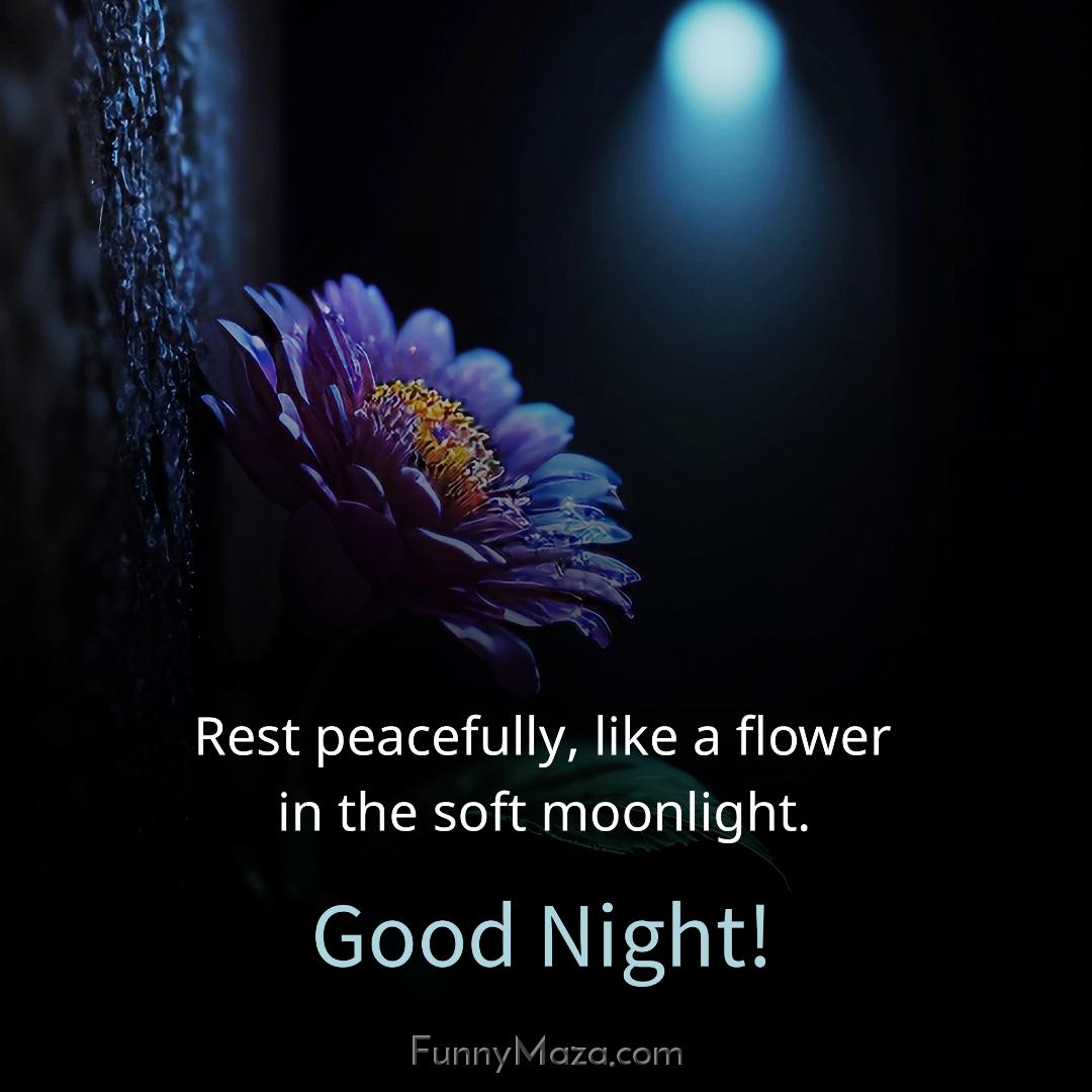 Rest peacefully like a flower in the soft moonlight