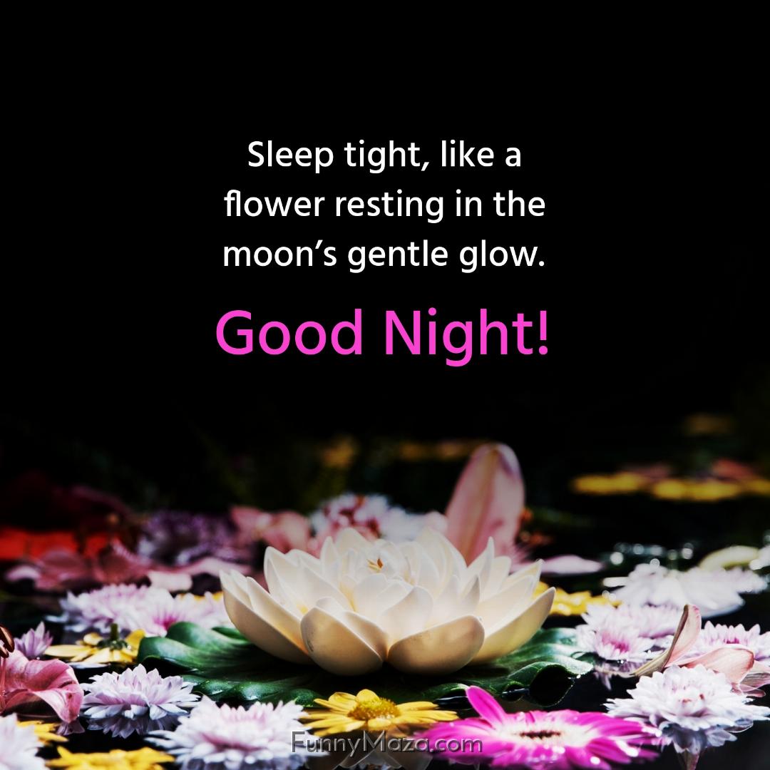 Sleep tight like a flower resting in the moon’s gentle glow