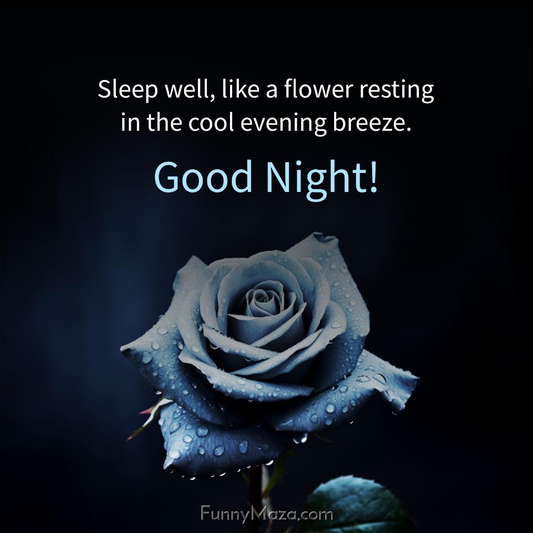 Sleep well like a flower resting in the cool evening breeze