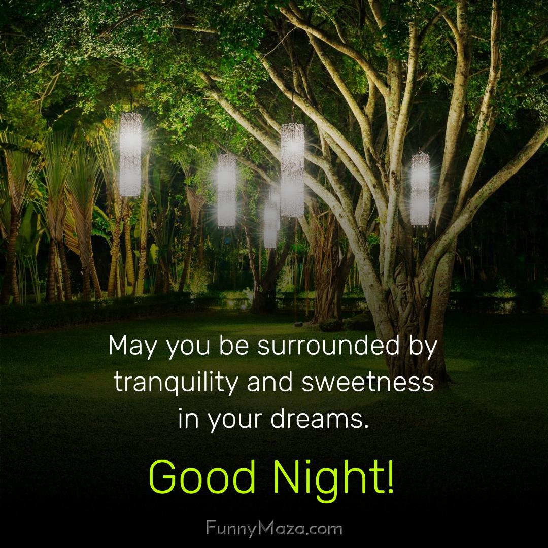 May you be surrounded by tranquility and sweetness in your dreams