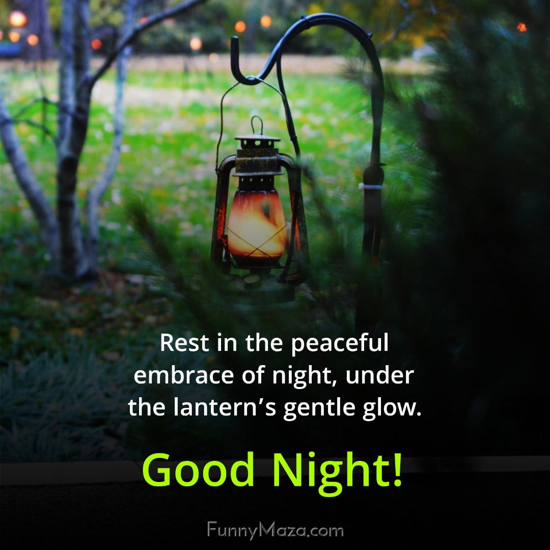 Rest in the peaceful embrace of night under the lantern’s gentle