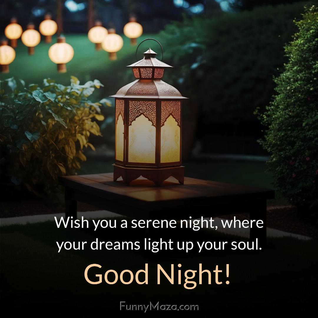 Wish you a serene night where your dreams light up your