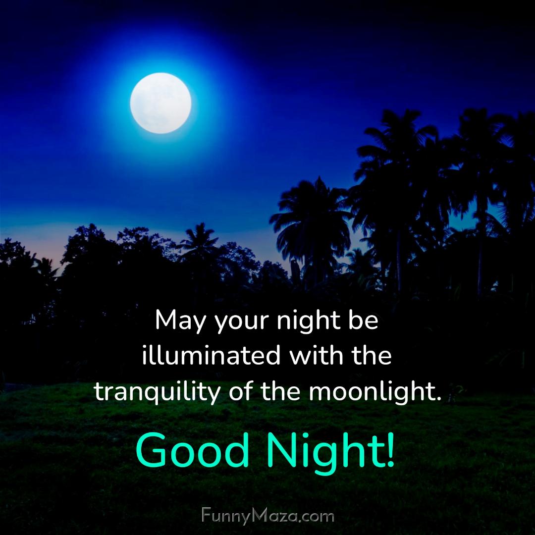 May your night be illuminated with the tranquility of the moonlight