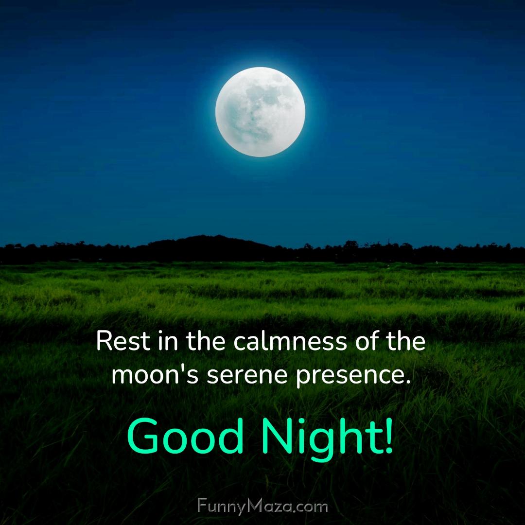 Rest in the calmness of the moon's serene presence