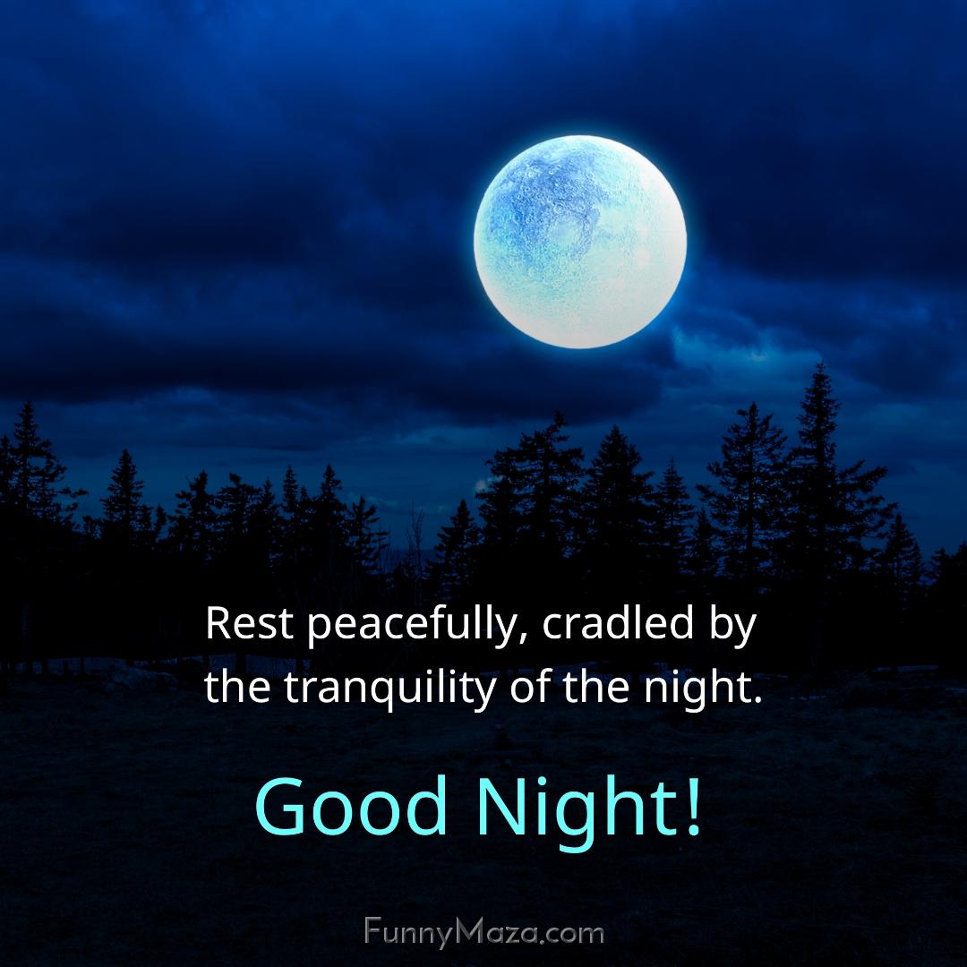 Rest peacefully cradled by the tranquility of the night