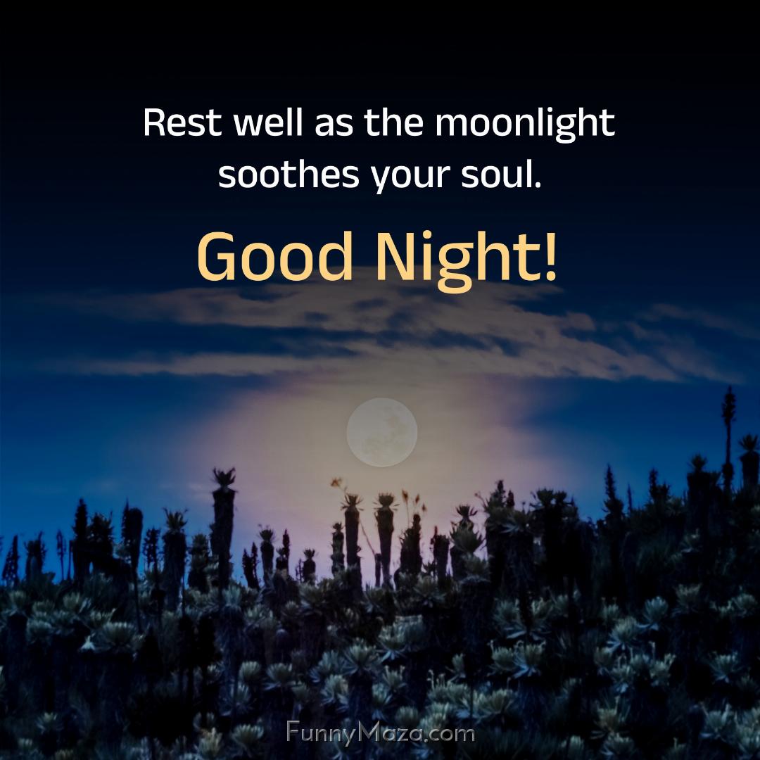 Rest well as the moonlight soothes your soul