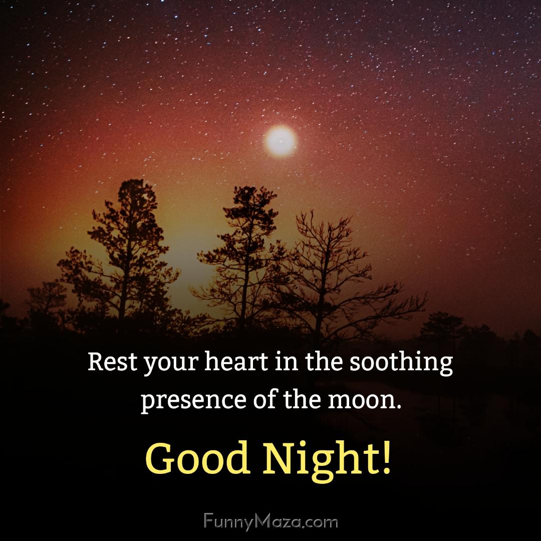 Rest your heart in the soothing presence of the moon