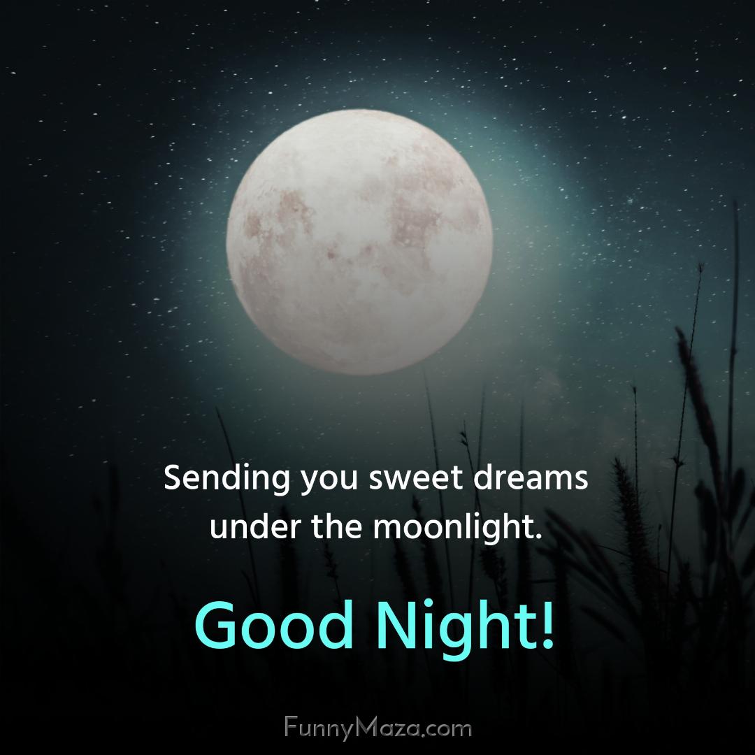 Sending you sweet dreams under the moonlight