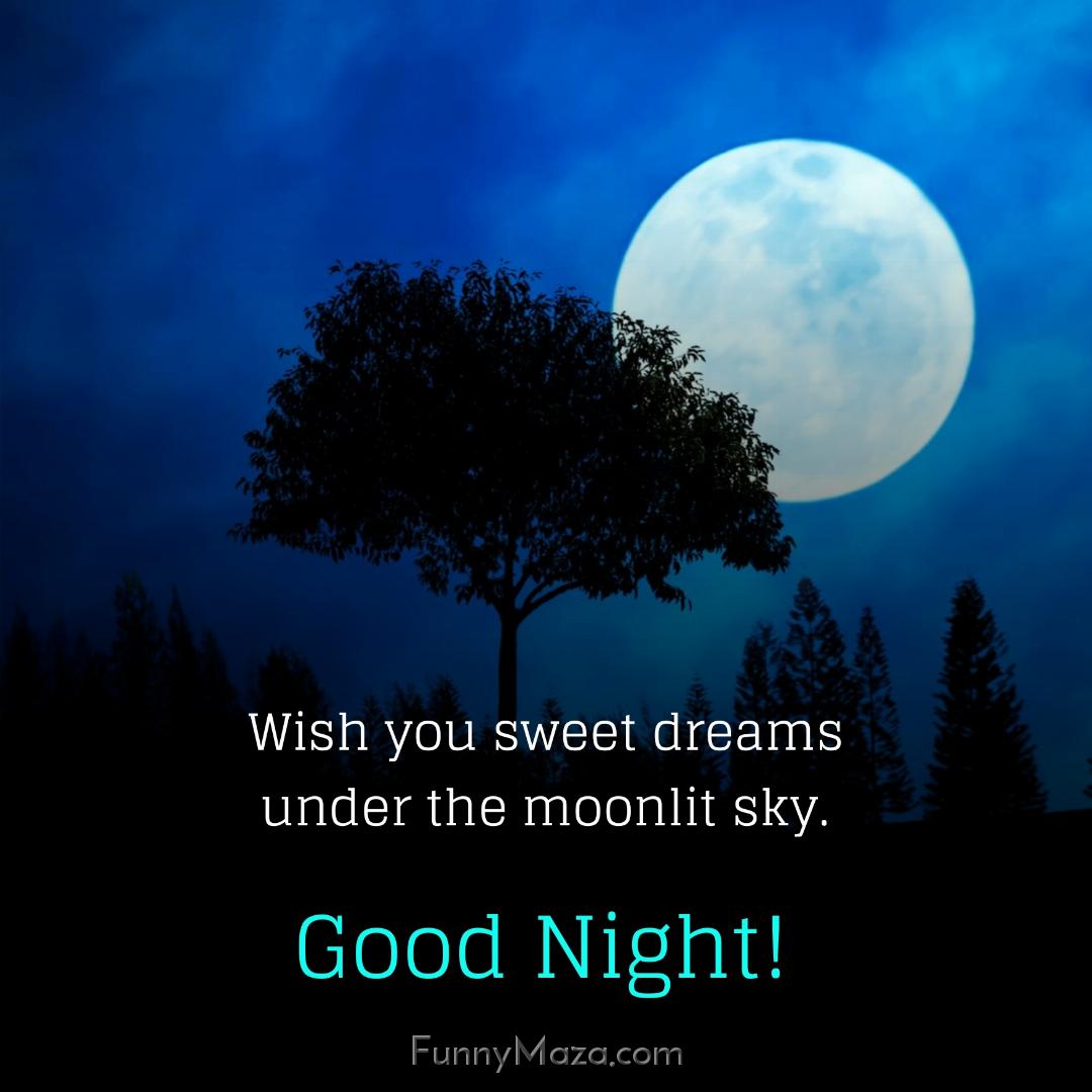 Wish you sweet dreams under the moonlit sky