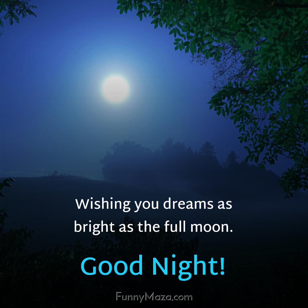 Wishing you dreams as bright as the full moon