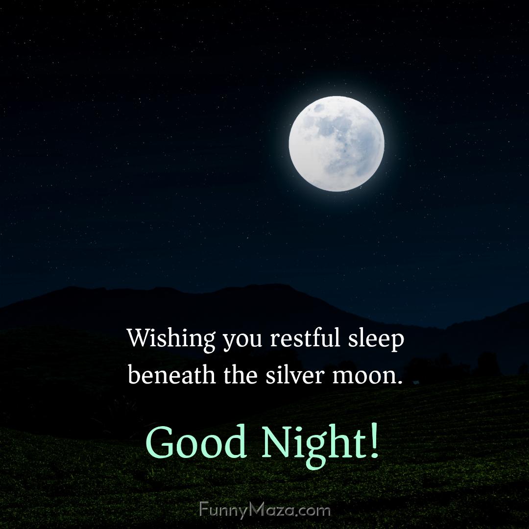 Wishing you restful sleep beneath the silver moon