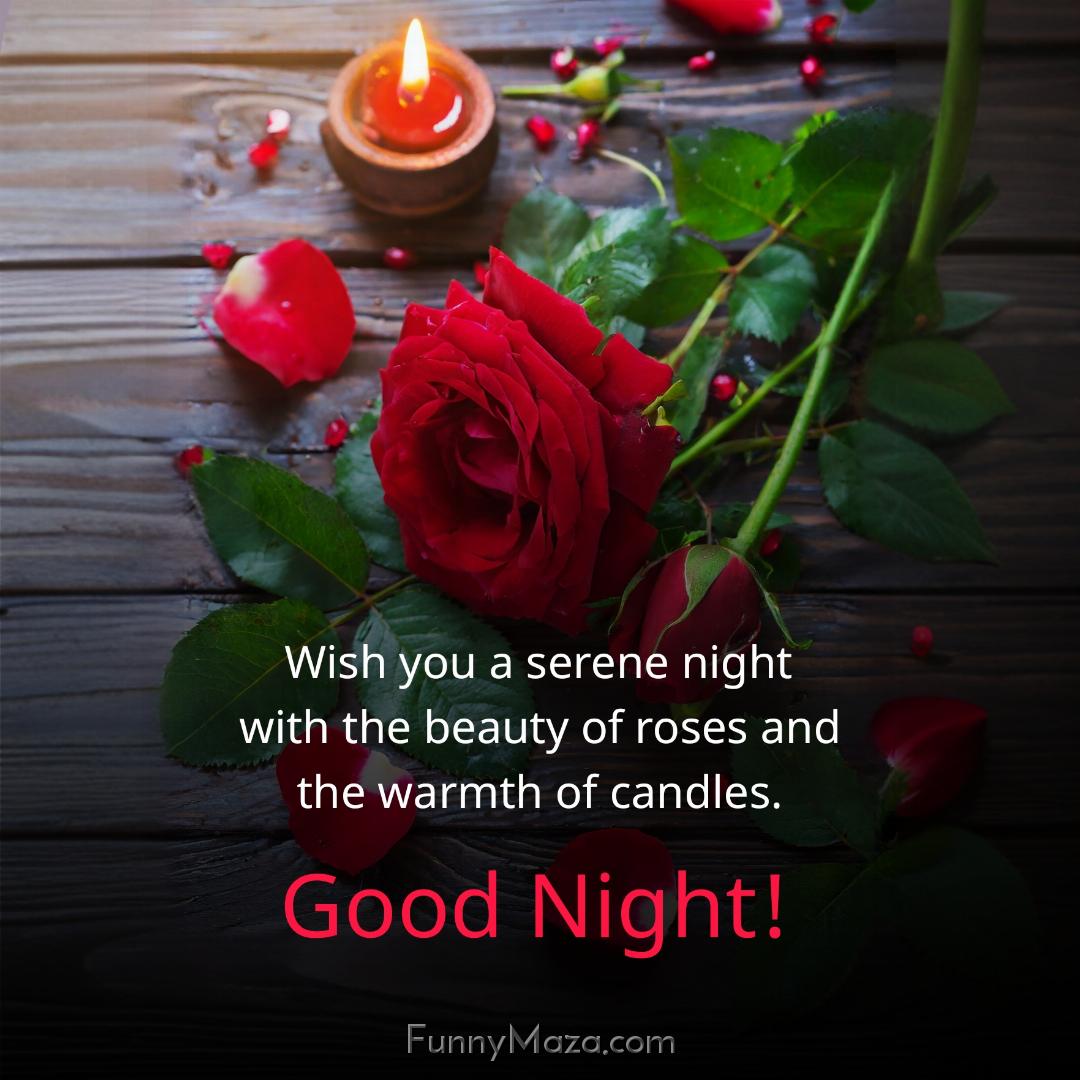 Wish you a serene night with the beauty of roses and