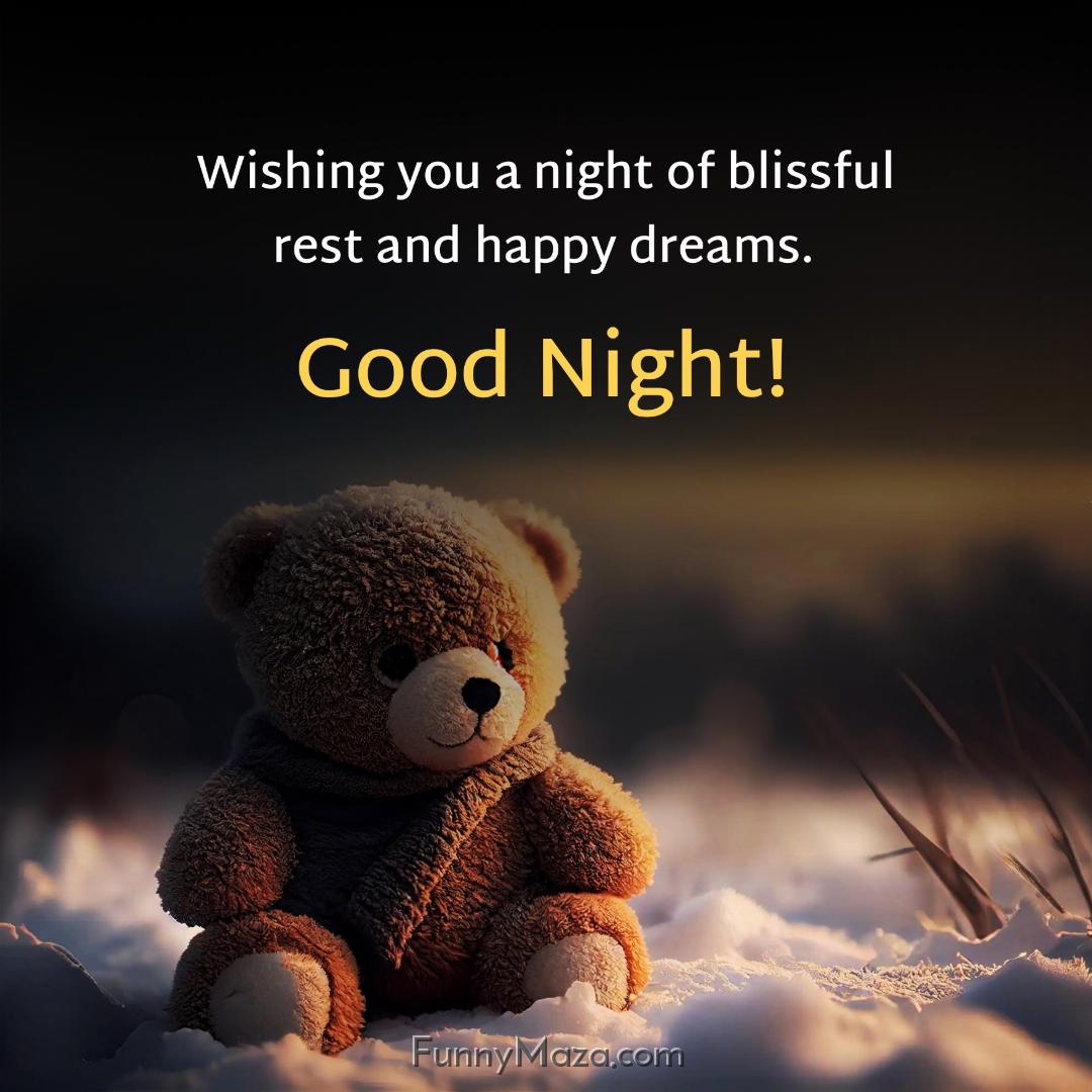 Wishing you a night of blissful rest and happy dreams