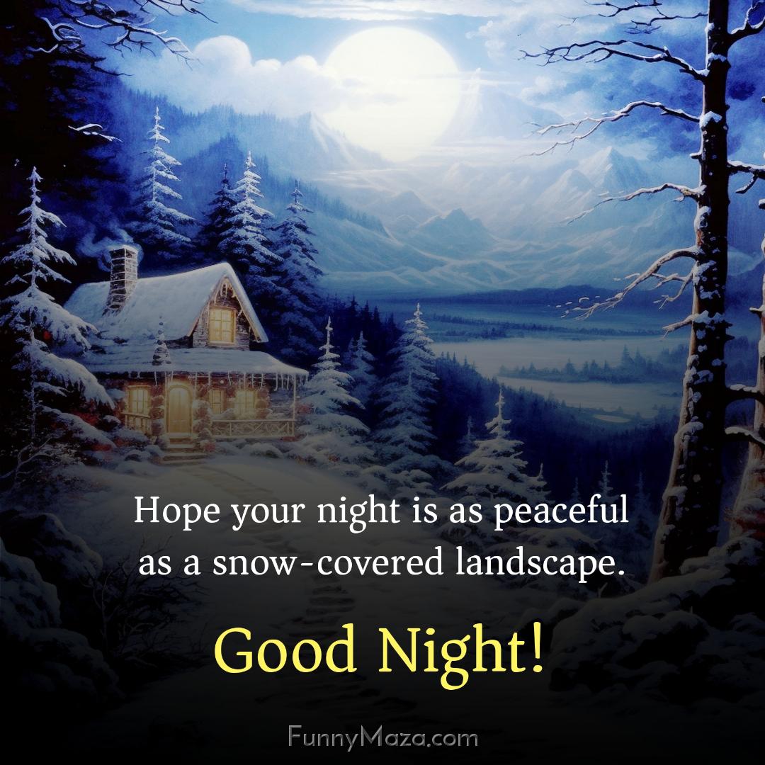 Hope your night is as peaceful as a snow-covered landscape