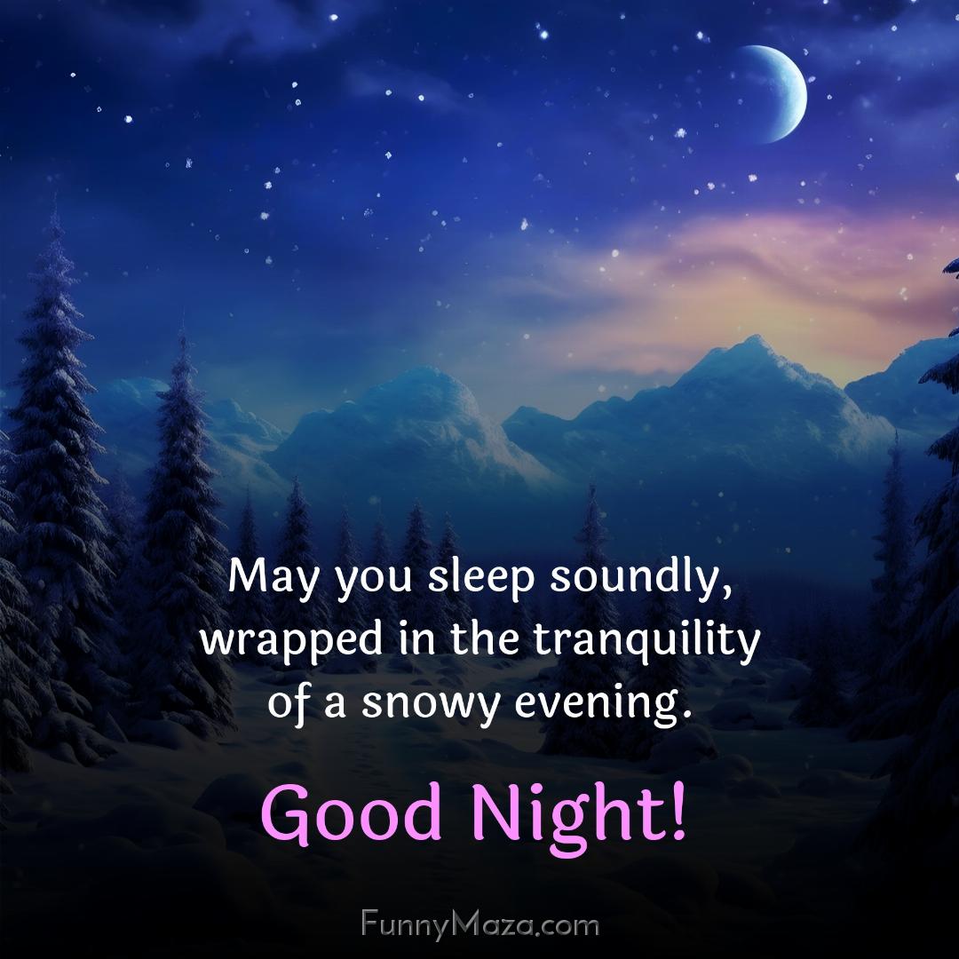 May you sleep soundly wrapped in the tranquility of a snowy