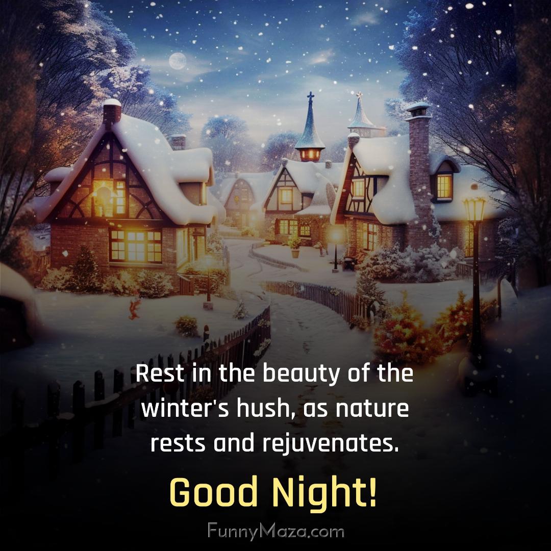 Rest in the beauty of the winter's hush as nature rests