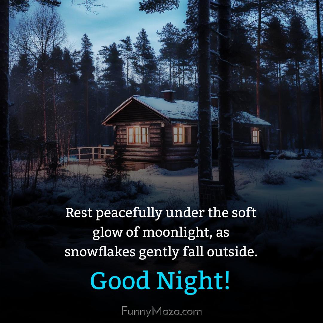 Rest peacefully under the soft glow of moonlight as snowflakes gently