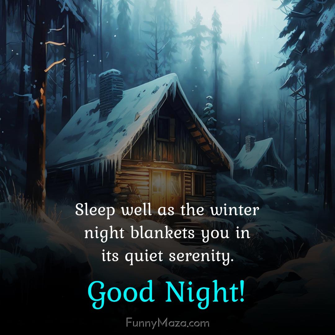 Sleep well as the winter night blankets you in its quiet