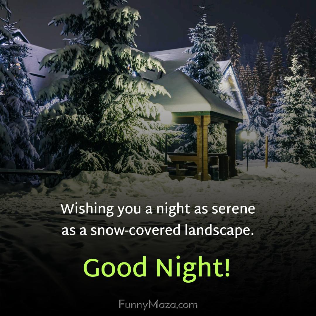 Wishing you a night as serene as a snow-covered landscape