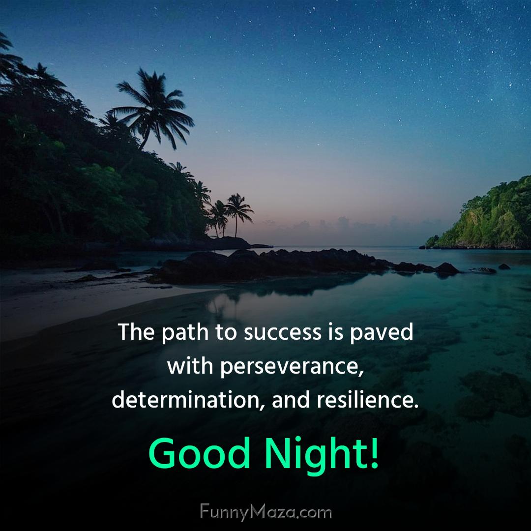 The path to success is paved with perseverance determination and resilience