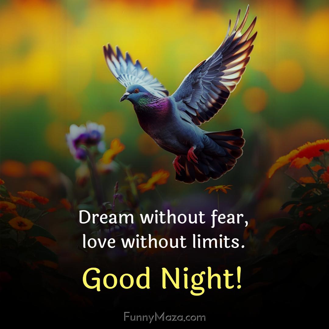 Dream without fear love without limits