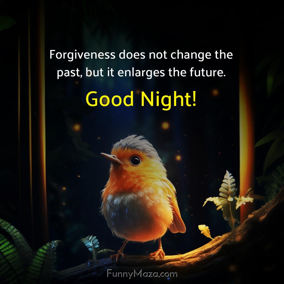 Forgiveness does not change the past but it enlarges the future