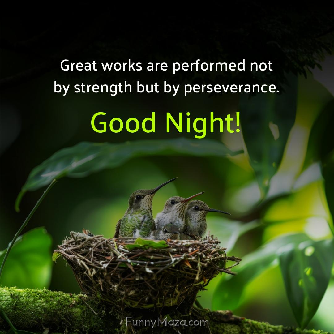 Great works are performed not by strength but by perseverance