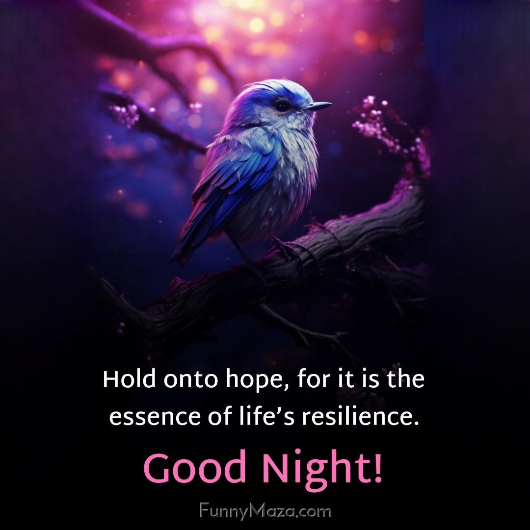 Hold onto hope for it is the essence of life’s resilience