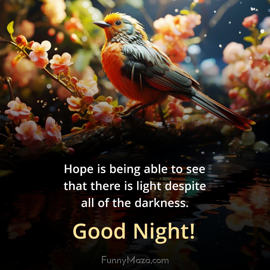 Hope is being able to see that there is light despite