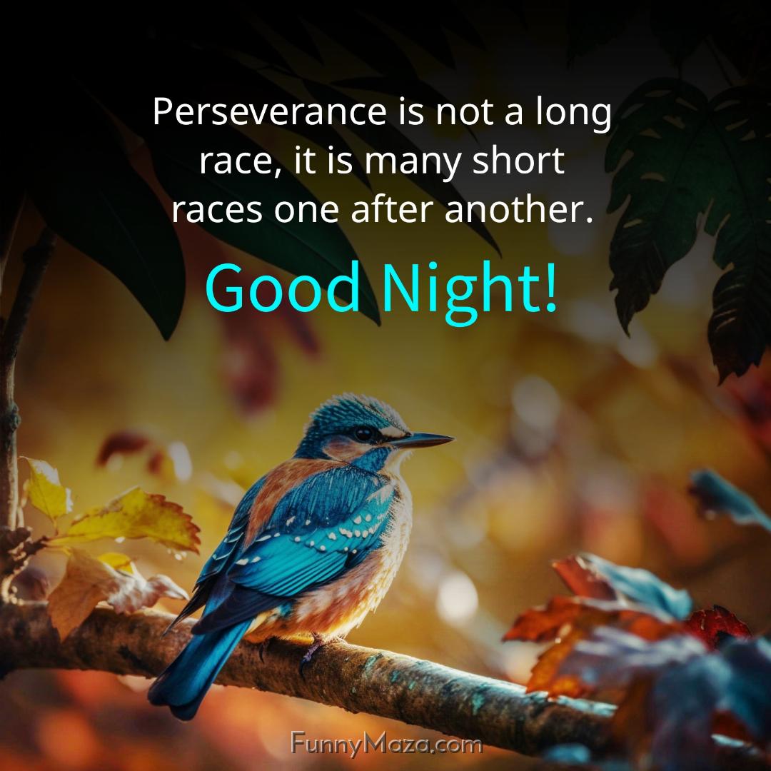 Perseverance is not a long race it is many short races